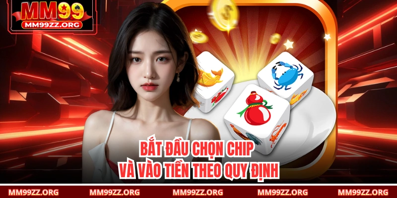 Bắt đầu chọn chip và vào tiền theo quy định