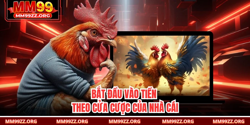 Bắt đầu vào tiền theo cửa cược của nhà cái