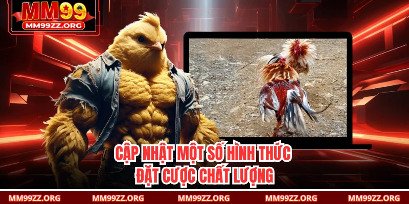 Cập nhật một số hình thức đặt cược chất lượng