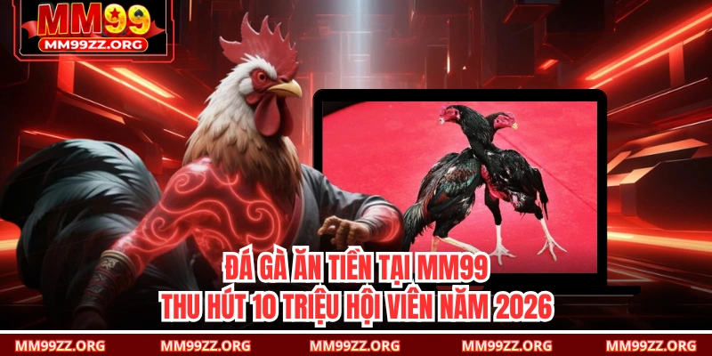 Đá Gà Ăn Tiền Tại MM99 Thu Hút 10 Triệu Hội Viên Năm 2026