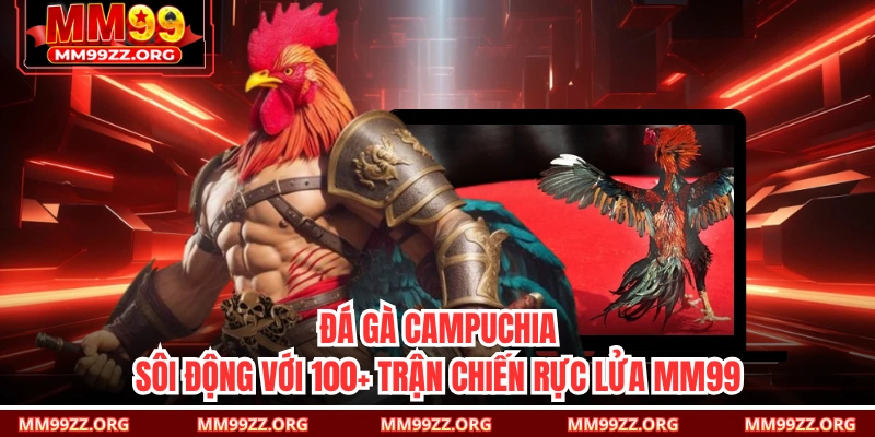 Đá Gà Campuchia Sôi Động Với 100+ Trận Chiến Rực Lửa MM99