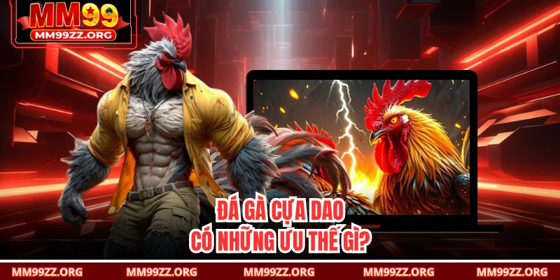 Đá gà cựa dao có những ưu thế gì? 
