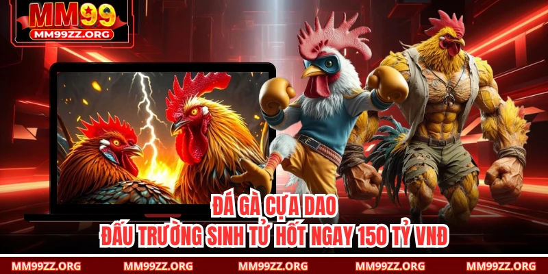 Đá Gà Cựa Dao: Đấu Trường Sinh Tử Hốt Ngay 150 Tỷ VNĐ