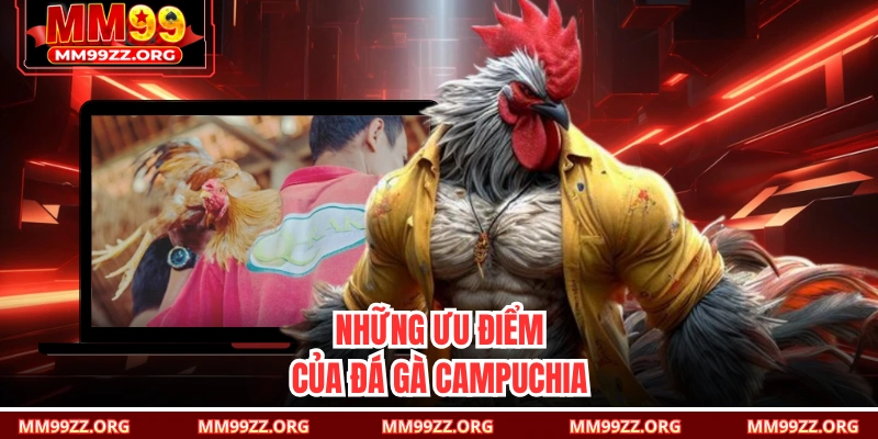 Những ưu điểm của đá gà Campuchia 