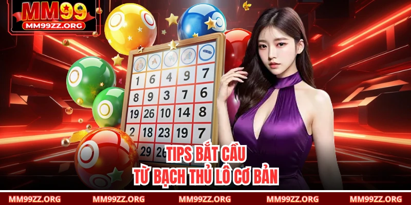 Tips bắt cầu từ bạch thủ lô cơ bản