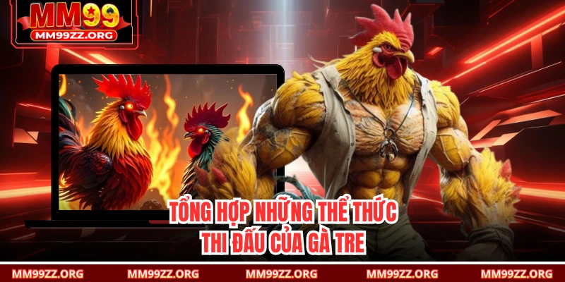 Tổng hợp những thể thức thi đấu của gà tre